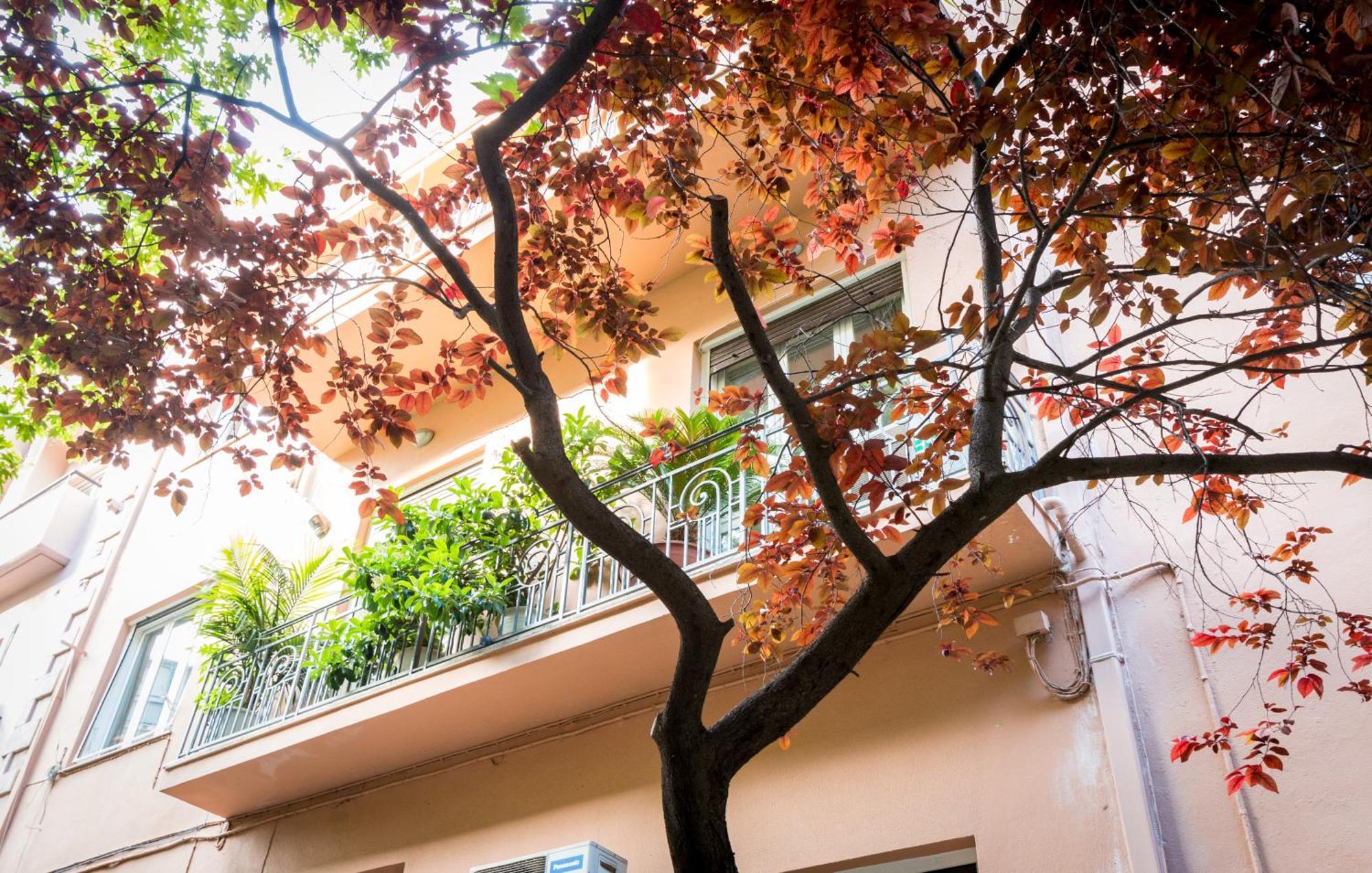 3 Bedder Condo In Ilisia, Megaro Mousikis Athen Eksteriør billede
